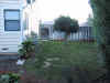 100-0018_IMG.JPG (164735 bytes)