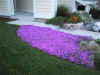 100-0075_IMG_2.JPG (204598 bytes)