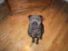 101-0125_IMG.JPG (121742 bytes)