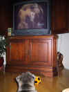 104-0426_IMG_2.JPG (801996 bytes)